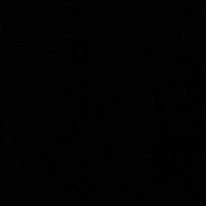 Meet your Posher, Nina